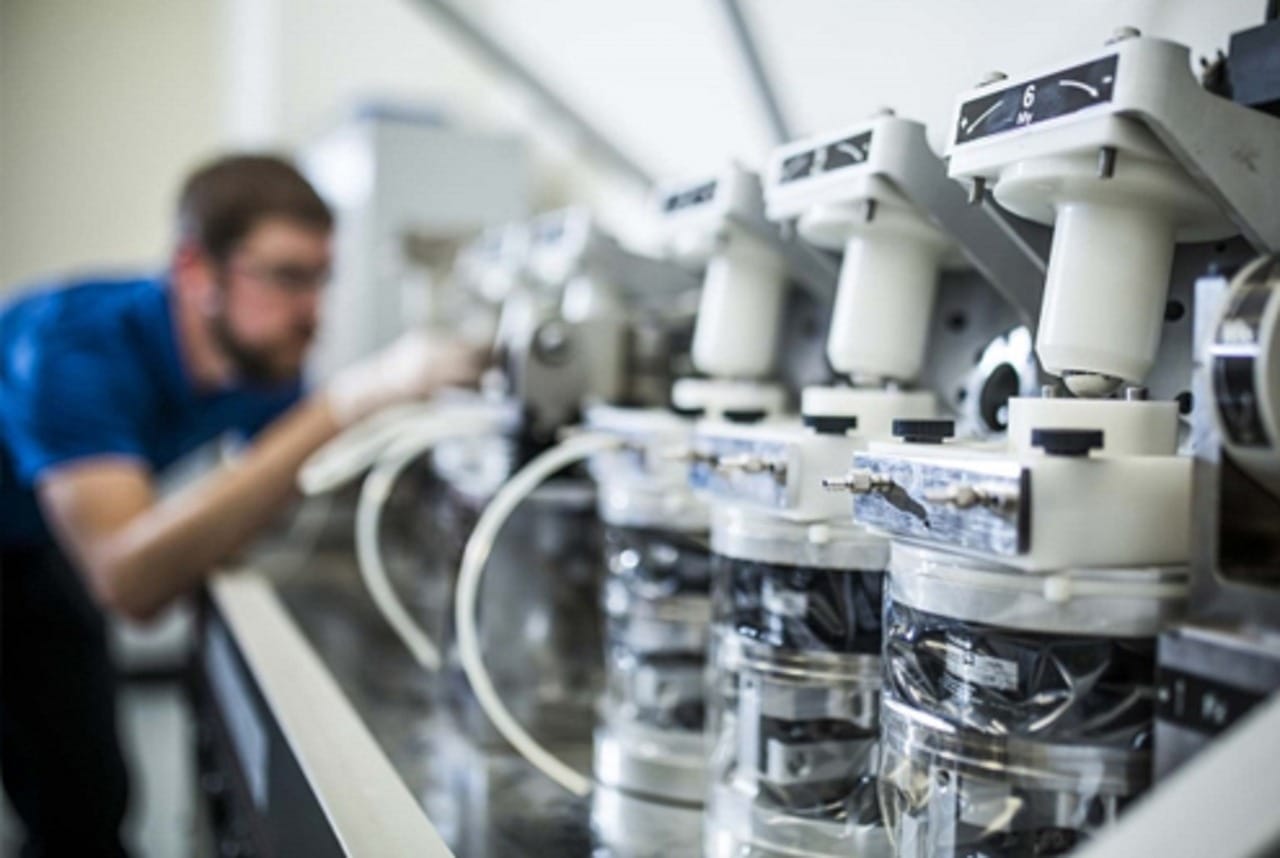 Role of Endoscopy in Modern Diagnostics